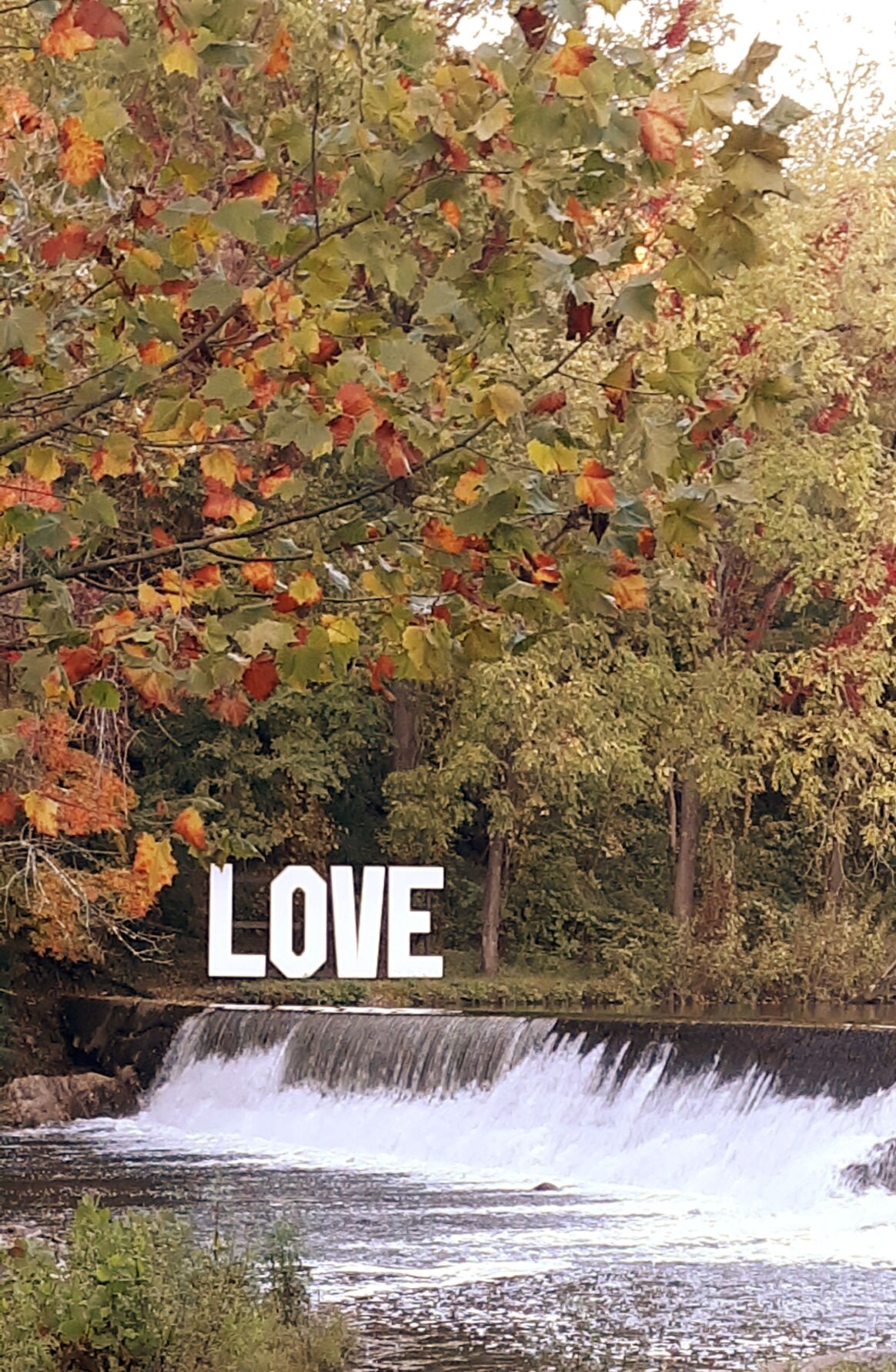 love sign.jpg